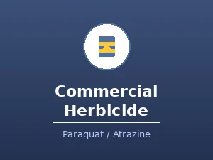 Image for choice number 6